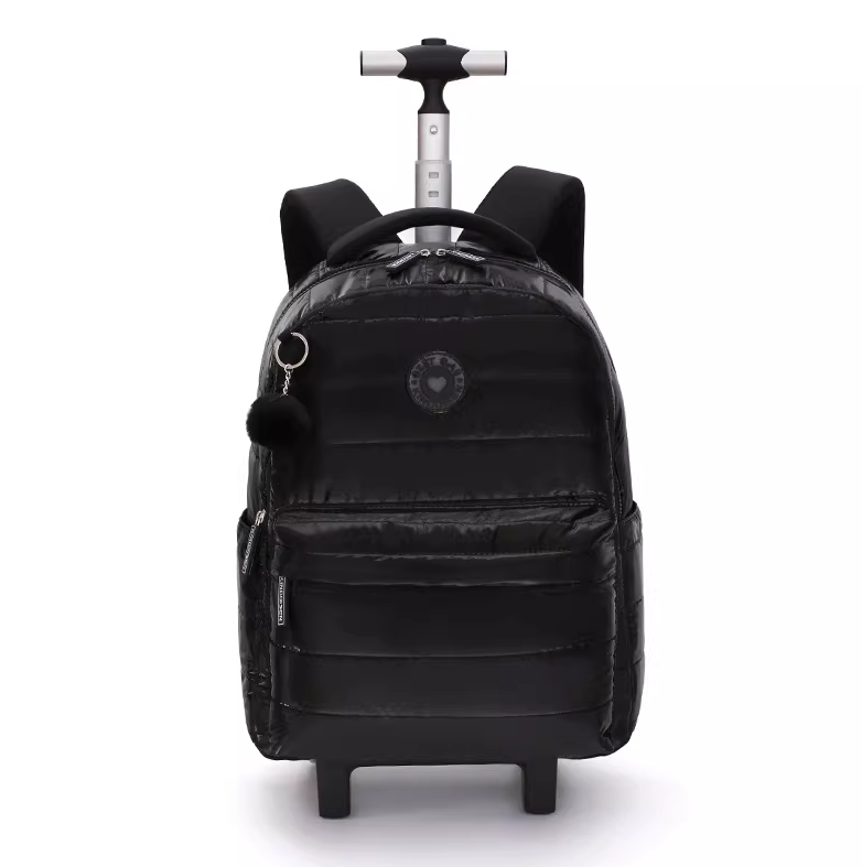18 Zoll Schulrucksack mit Roll – Foldable Rolling Luggage Bag Bewertung und Preis