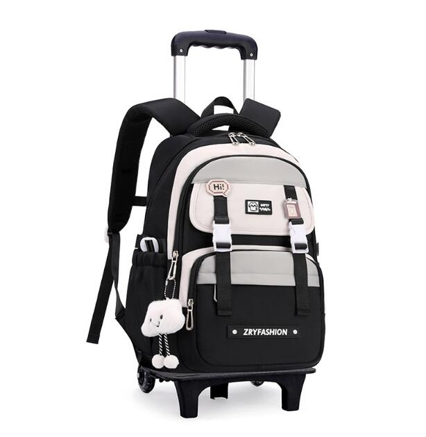 Reiserucksack mit Rollen für M – Foldable Rolling Luggage Bag Bewertung und Preis